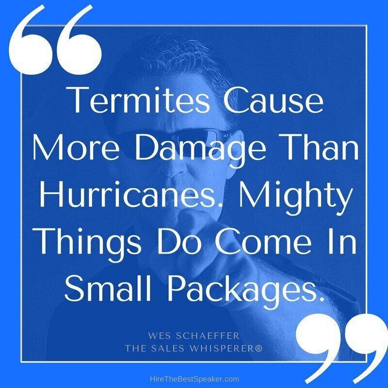 Termites_Cause_More_Damage_Than_Hurricanes._Mighty_Things_Do_Come_In_Small_Packages.