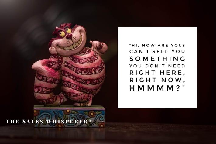 cheshire_cat_hardcore_closer_wes_schaeffer_the_sales_whisperer.png cheshire_cat_hardcore_closer_wes_schaeffer_the_sales_whisperer.png