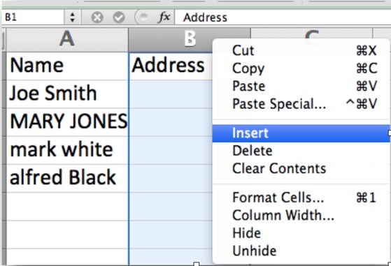 infusionsoft_database_import_excel_tips_insert