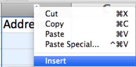 infusionsoft_database_import_excel_tips_insert_2