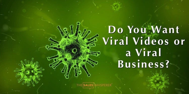 viral_business_wes_schaeffer